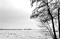 landschap, Boezems Kinderdijk, Boezems Kinderdijk