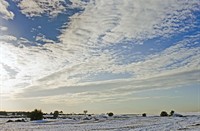 landschap, Nationaal Park De Hoge Veluwe , Nationaal Park De Hoge Veluwe 