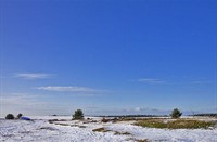 landschap, Nationaal Park De Hoge Veluwe , Nationaal Park De Hoge Veluwe 