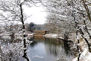 Landschap - winter