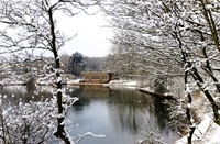 Landschap - winter