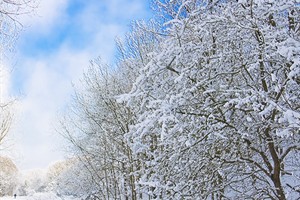 Landschap - winter