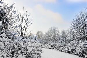 landschap - winter