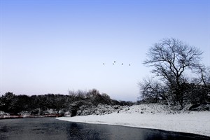 landschap - winter