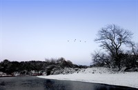 landschap - winter, Amterdamse Waterleidingduinen, Amterdamse Waterleidingduinen