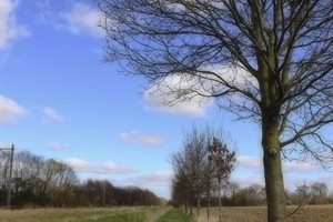 Wandelpaden door cultuurlandschap