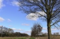 Wandelpaden door cultuurlandschap, Landgoed Mariënwaerdt