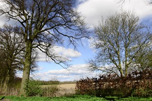 Doorkijkjes in Landgoed Mariënwaerdt