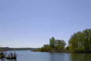 Vergezichten van Biesbosch