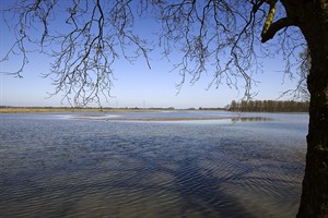 Uitzicht op het landschap van Biesbosch