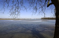 Uitzicht op het landschap van Biesbosch, Nationaal Park De Biesbosch