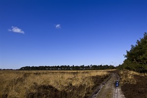 Vergezichten van Deelerwoud