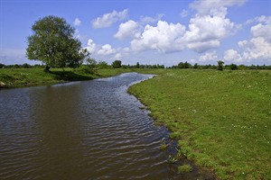 Uitzicht op de kreken van de Dintelse Gorzen