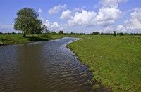 Uitzicht op de kreken van de Dintelse Gorzen