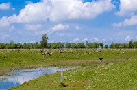 Oase van rust in de Dintelse Gorzen