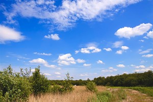 Schapen wolken bo0ven naardermeer weilanden