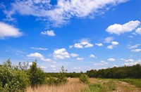 Schapen wolken bo0ven naardermeer weilanden, Naardermeer