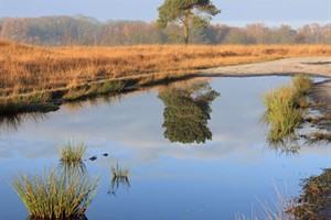 Spelen met de weerspiegeling...