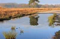 Spelen met de weerspiegeling...