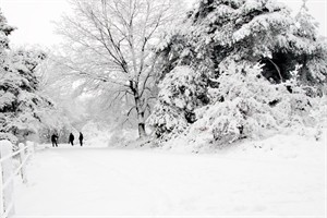 stel fotografen die spelend foto's maken in sneeuw