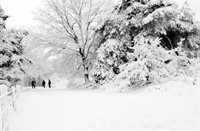 stel fotografen die spelend foto's maken in sneeuw, Nationaal Park Veluwezoom, Nationaal Park Veluwezoom