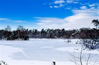 landschap, Oisterwijkse Bossen en Vennen, Oisterwijkse Bossen en Vennen