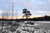 landschap, Oisterwijkse Bossen en Vennen, Oisterwijkse Bossen en Vennen