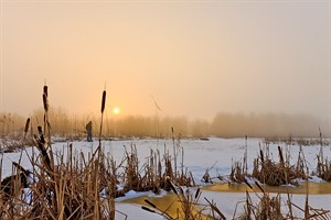 landschap