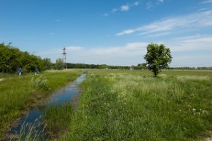 Polders langs het natuurgebied Nieuw Wulven