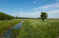 Polders langs het natuurgebied Nieuw Wulven