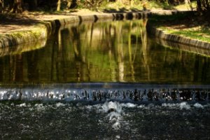 Amsterdamse Waterleidingduinen