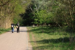 Wandelaars lopen langs de herten