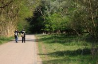 Wandelaars lopen langs de herten, Amsterdamse Waterleidingduinen, Wandelaars lopen langs de herten