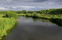 Landschap, Bergse Bos, Landschap