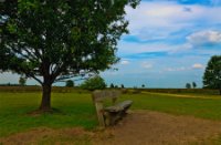 Ermelosche heide, Ermelosche heide, Ermelosche heide