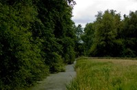 landschap, Natuurgebied Loetbos, landschap