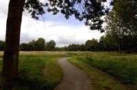 landschap, Natuurgebied Loetbos, landschap