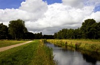 landschap, Natuurgebied Loetbos, landschap