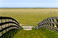 landschap , Friese Waddenkust, friesche wad het bilt