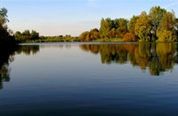 landschap, Park Zestienhoven, landschap