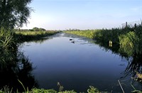 landschap, Park Zestienhoven, landschap