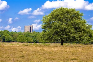 landschap