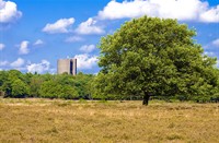 landschap, Het goois (westerheide), landschap