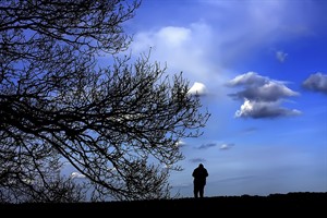 Fotograaf in hoge Veluwe