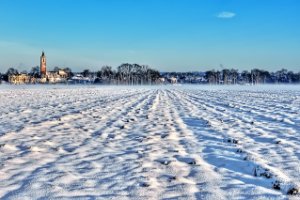 Landschap (winter)