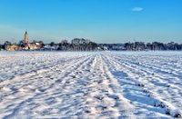 Landschap (winter), Amerongse Bovenpolder, Landschap (winter)