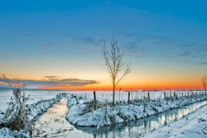 Landschap Polder