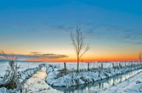 Landschap Polder, Amerongse Bovenpolder, Landschap Polder