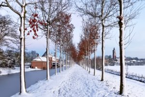 Landschap kasteel