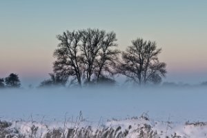 Landschap Polder